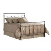 Queen size Metal Bed in Mahogany Gold Finish