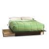 Queen size Modern Platform Bed with 2 Storage Drawers in Chocolate